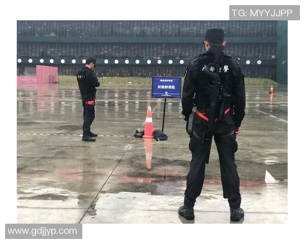 北京极限运动队中路突破战术解析与实战应用探讨